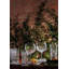Gin Journeys Aras Hiball 15 fl oz