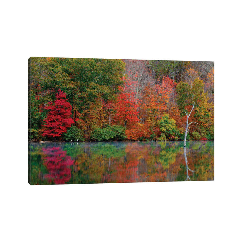 Autumn Scene by David Gardiner - Print on Canvas, Wrapped Canvas, 66.04 cm H x 45.72 cm W x 3.175 cm D