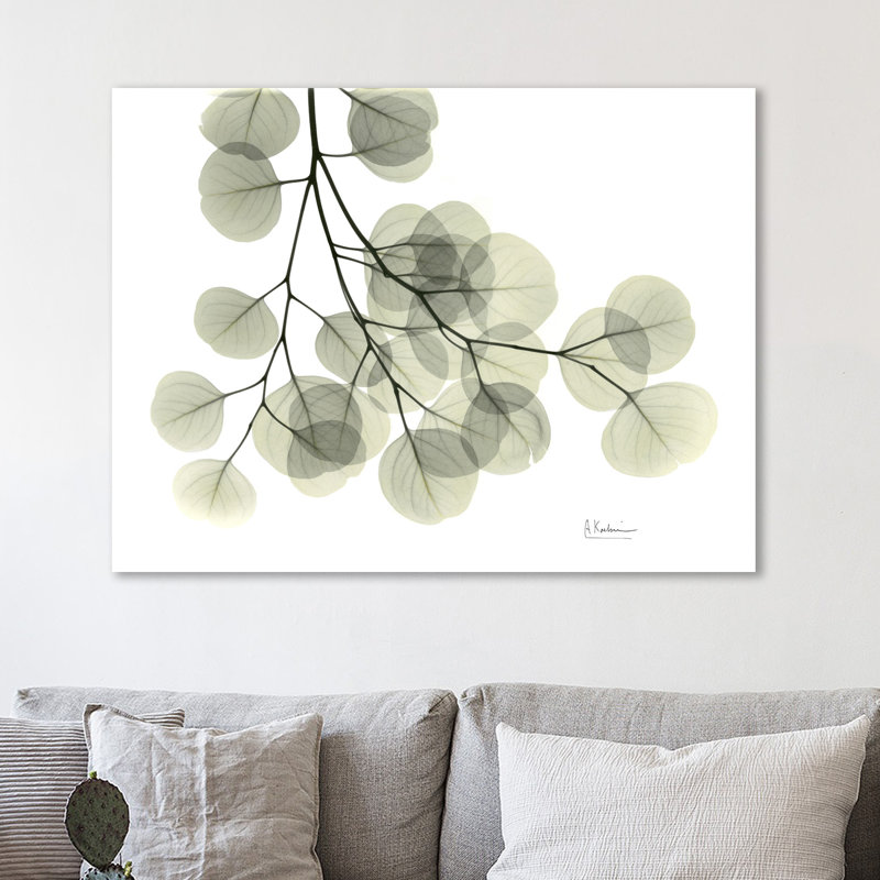 «Eucalyptus - L257», impression sur toile tendue, H 24 po x l 32 po