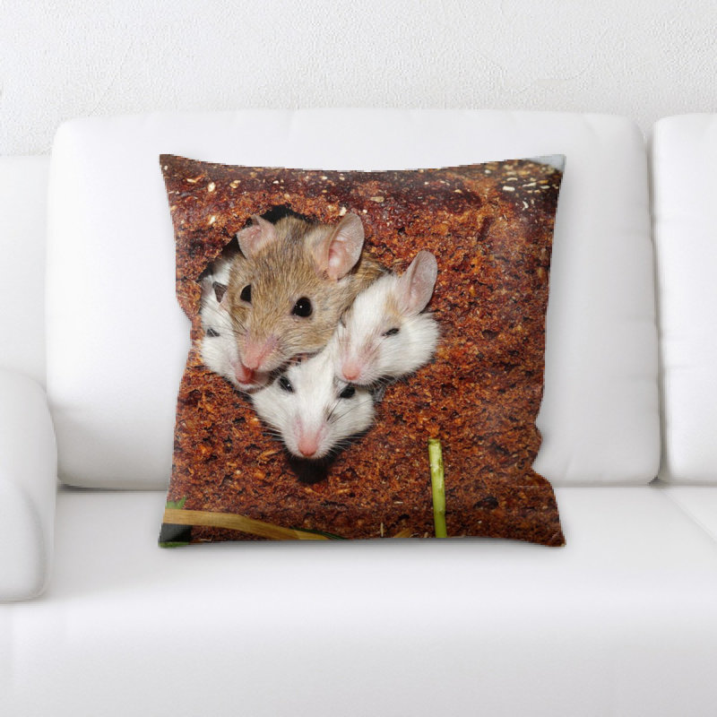 Coussin mastomys