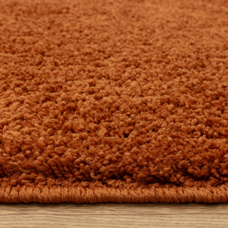 Ronalee Recycled P.E.T Machine Tufted Shag Area Rug, Rectangle 160 x 230 cm, Orange
