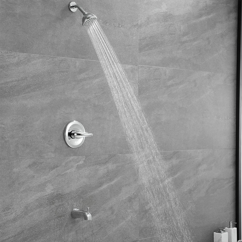 Pomme de douche à main pour salle de bain avec valve brute, Chrome