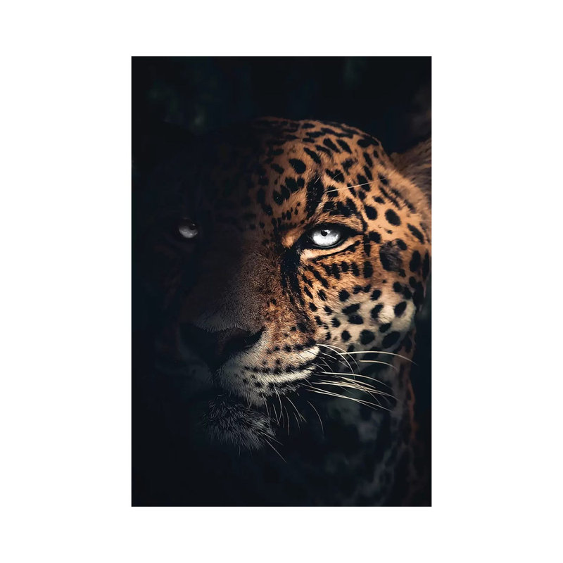 The Jaguar by Zenja Gammer - Print on Canvas, Wrapped Canvas, 30.48 cm H x 45.72 cm W