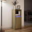 Shanerica Accent Cabinet-588309485