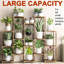 Plant Stand