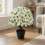 Plante de lotus enneigée de 24 pouces de couleur blanche pure, décor floral à l'épreuve du soleil, ensemble de deux pots pour une utilisation intérieure ou extérieure