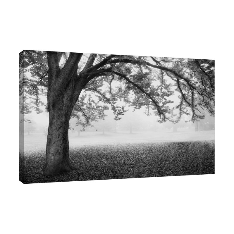«In The Mist Black and White 2», toile tendue par Dianne Poinski, H 16 po x l 24 po x P 1,5 po