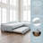 Upholstered Double Twin Size Daybed With Trundle And Drawer-712557637