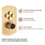 Robinet de douche mural avec valve brute Herathena-81076490
