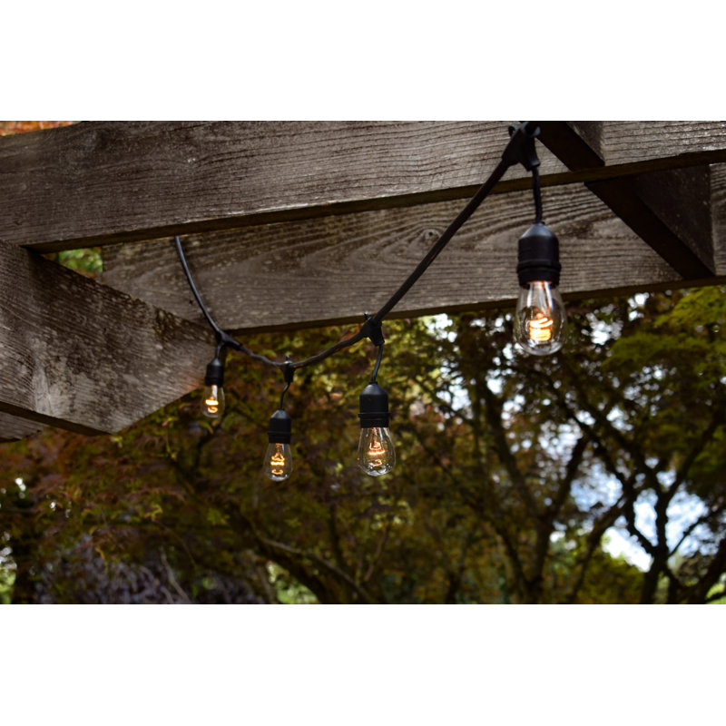 Guirlande lumineuse d'extérieur à 8 ampoules de 24,5 po Rentas