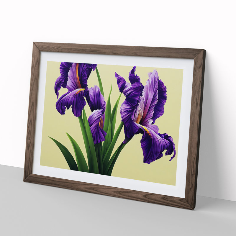 Contemporary Iris Flowers - Framed Print, 25cm H x 34cm W x 2cm D, Walnut
