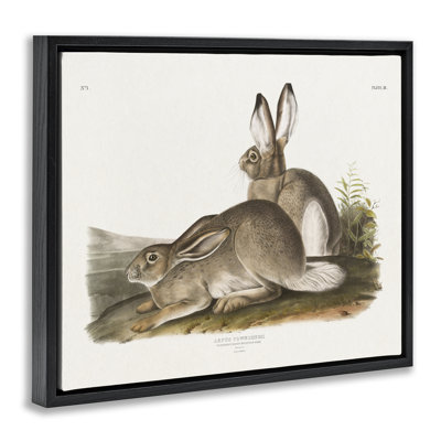 Art mural sur toile flottant Traditional Cottage Hare par Wild Apple Portfolio