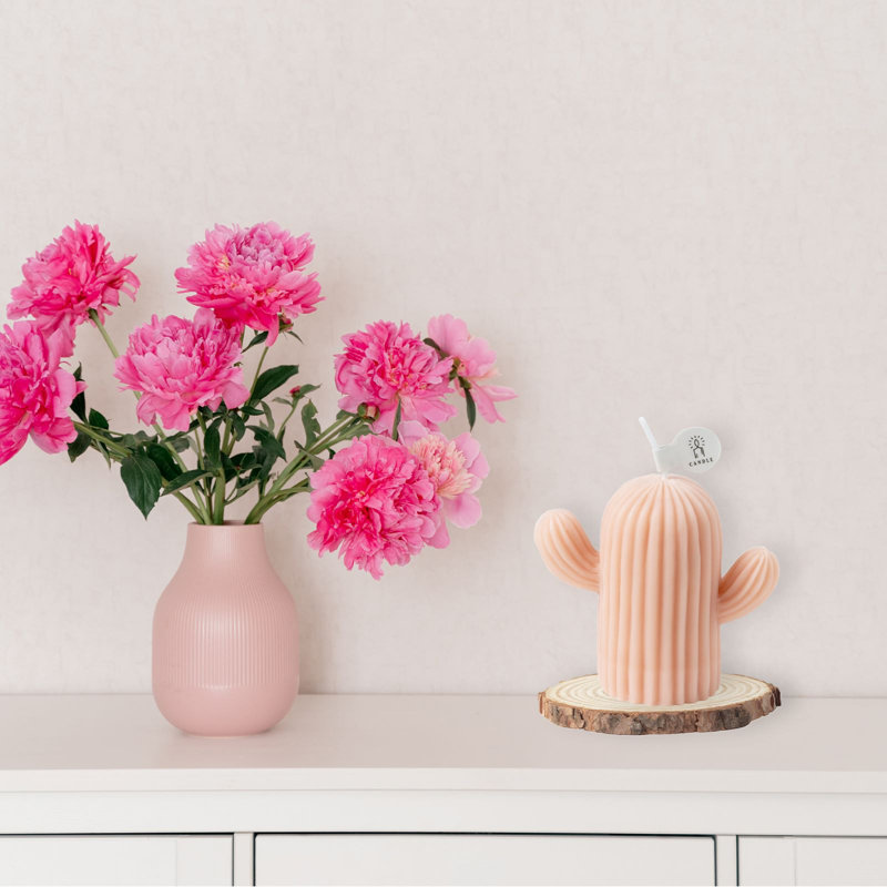  Bougie parfumée en forme de cactus Home, Rose