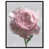 Black Floater Frame selected