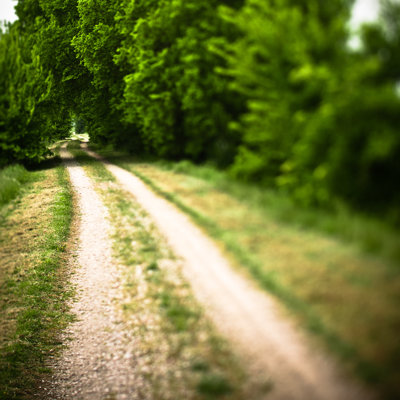 Empty Dirt Road by Moreiso