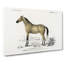 Horse Illustration PL. 10A by Charles D' Orbigny - Wrapped Canvas-55359675