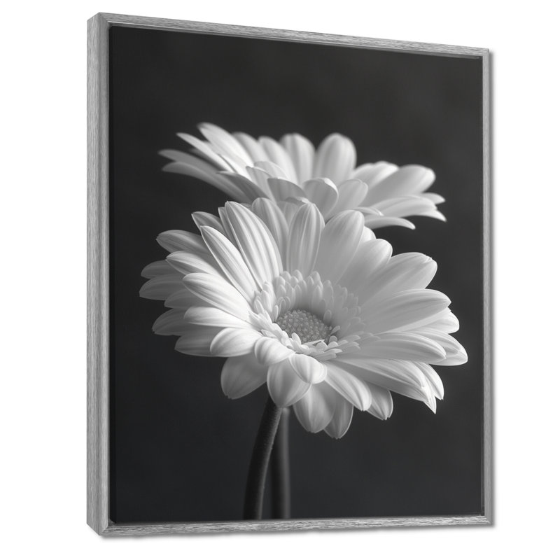 Monochromes noir et blanc «Bliss Daisy Photo I» - impression d'art mural marguerites, Encadrement argenté, H 16 po x l 32 po
