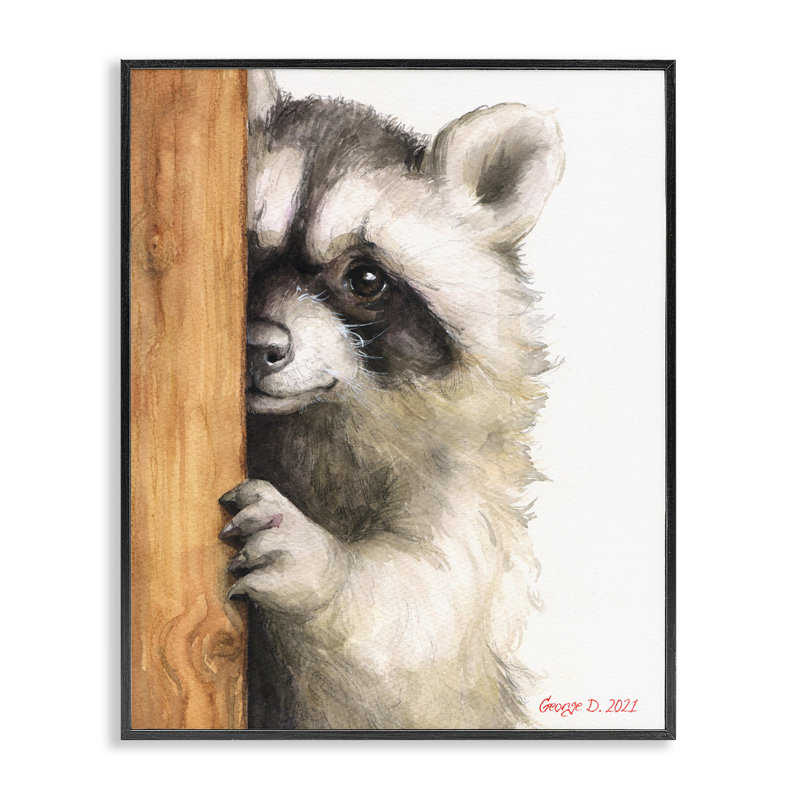 «Peering Raccoon Watercolor» par George Dyachenko, Giclée encadrée noir minuit, L 11 po x H 14 po