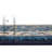 Oriental Indoor Rug-69121226