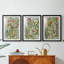 Dear Nature I  -Custom Framed  Premium Print W Matt - 3 Pieces-1783490270-1783490271