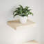 Rochanda Floating Shelf-528532643