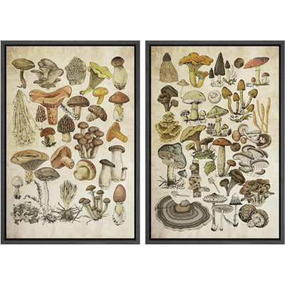 IDEA4WALL Framed Canvas Wall Art Mushroom Botanical Prints Modern Vintage Art Rustic Kitchen Wall Decor For Bedroom