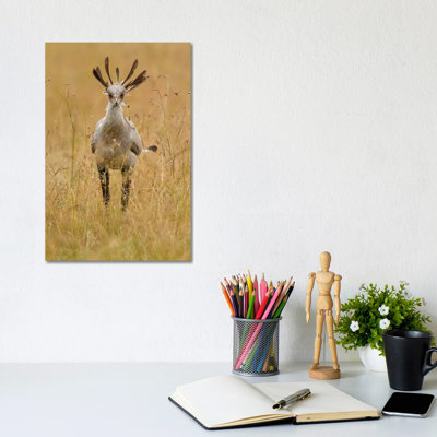 " Secretary Bird " by Elmar Weiss