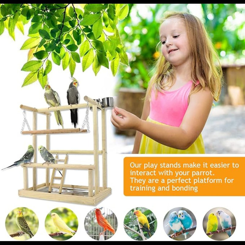 Stunning Rotating Bird Playgym For Pets image