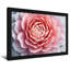 Plantes et fleurs, motif floral rose-2006128018-2006128028-2006128031