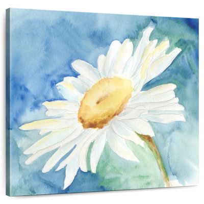 Harnek Daisy Sunshine I