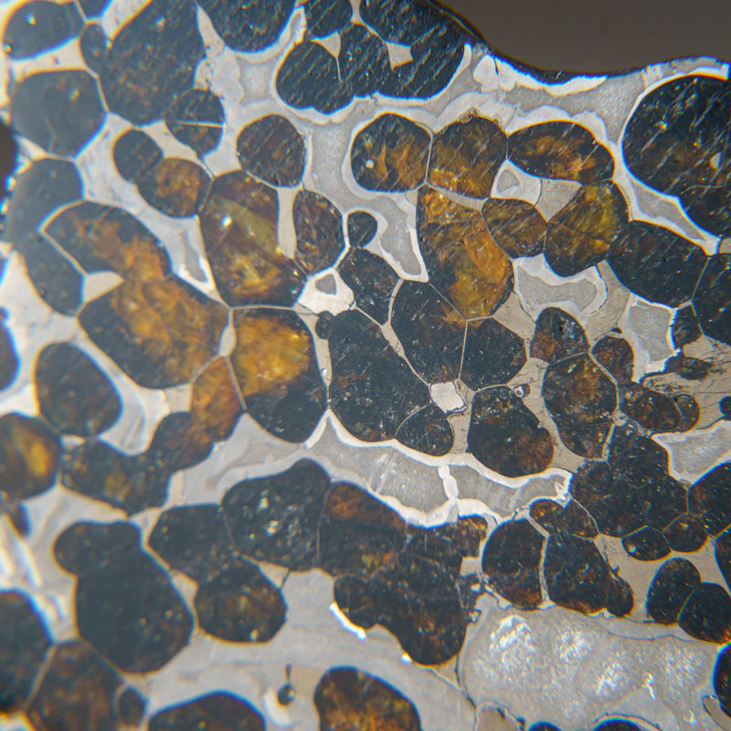 Brenhama Pallasite Crystal