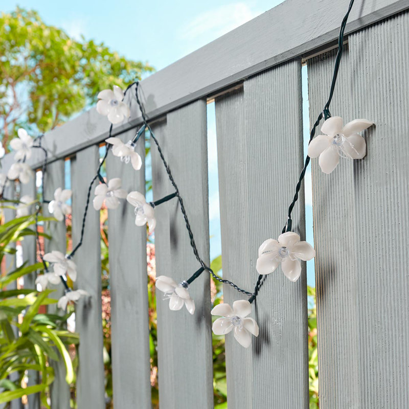 String Lights, Warm