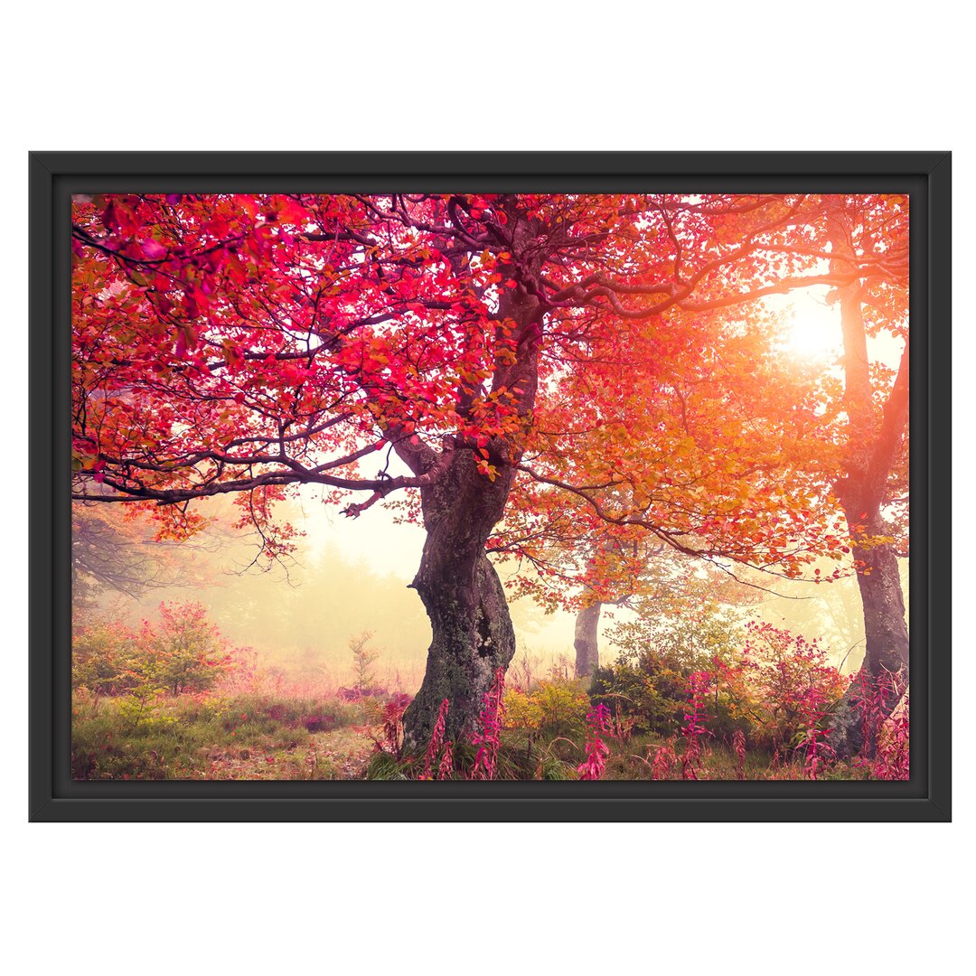 Verträumte Herbstlandschaft Fotodruck auf Leinwand