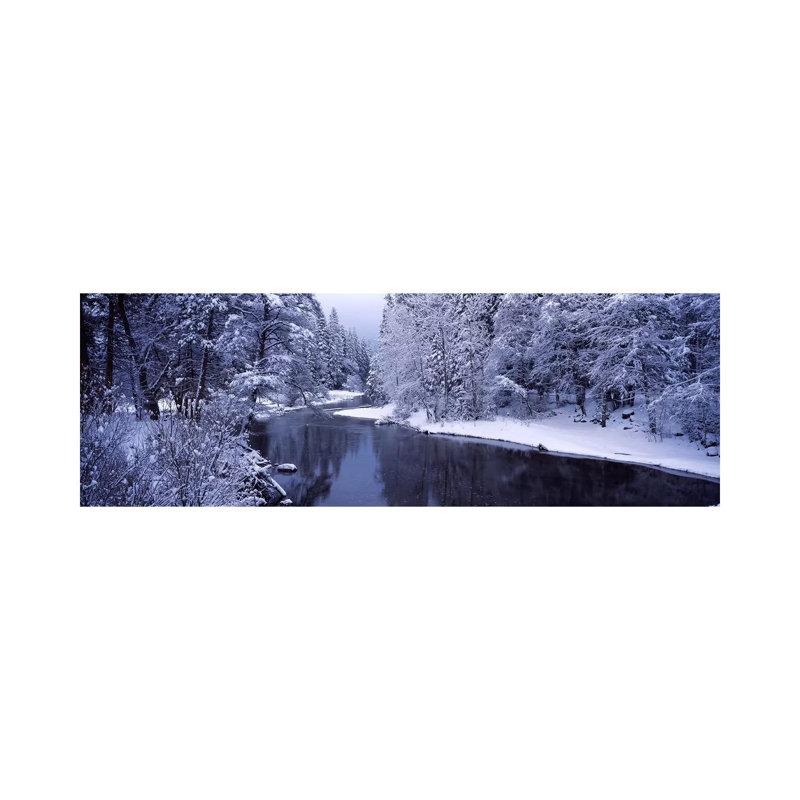 Snow Covered Trees Along A River, Yosemite National PArk, California, USA by Panoramic Images - Wrapped Canvas Panoramic Print