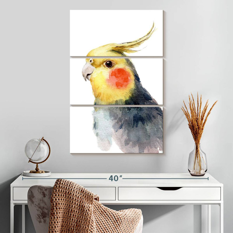 Mignon perruche Brampt, H 32 po x l 20 po