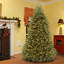 The Holiday Aisle® 9ft. Dunhill Fir Tree with Clear Lights-795988242-795988243