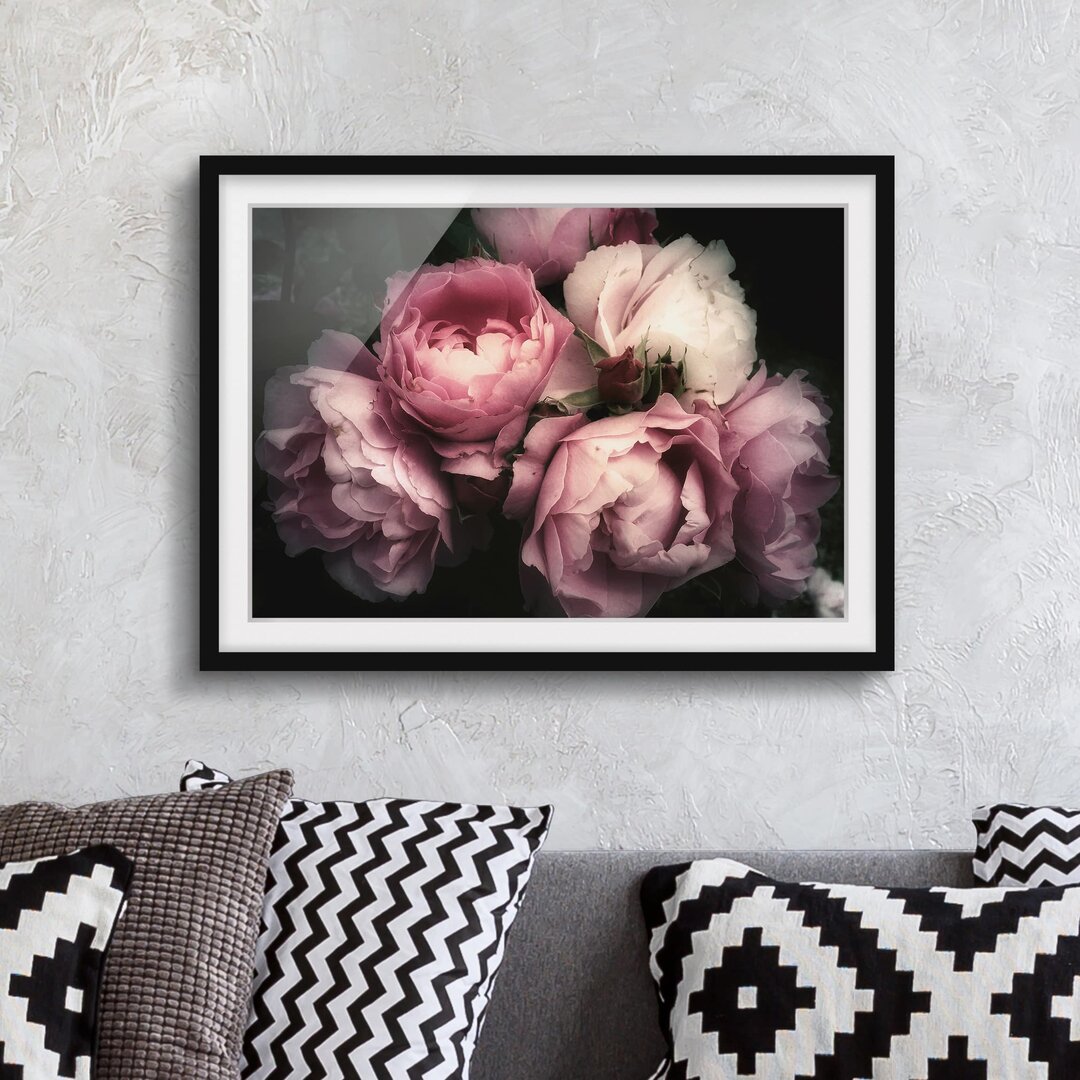 Gerahmter Grafikdruck Peonies Before Black Shabby