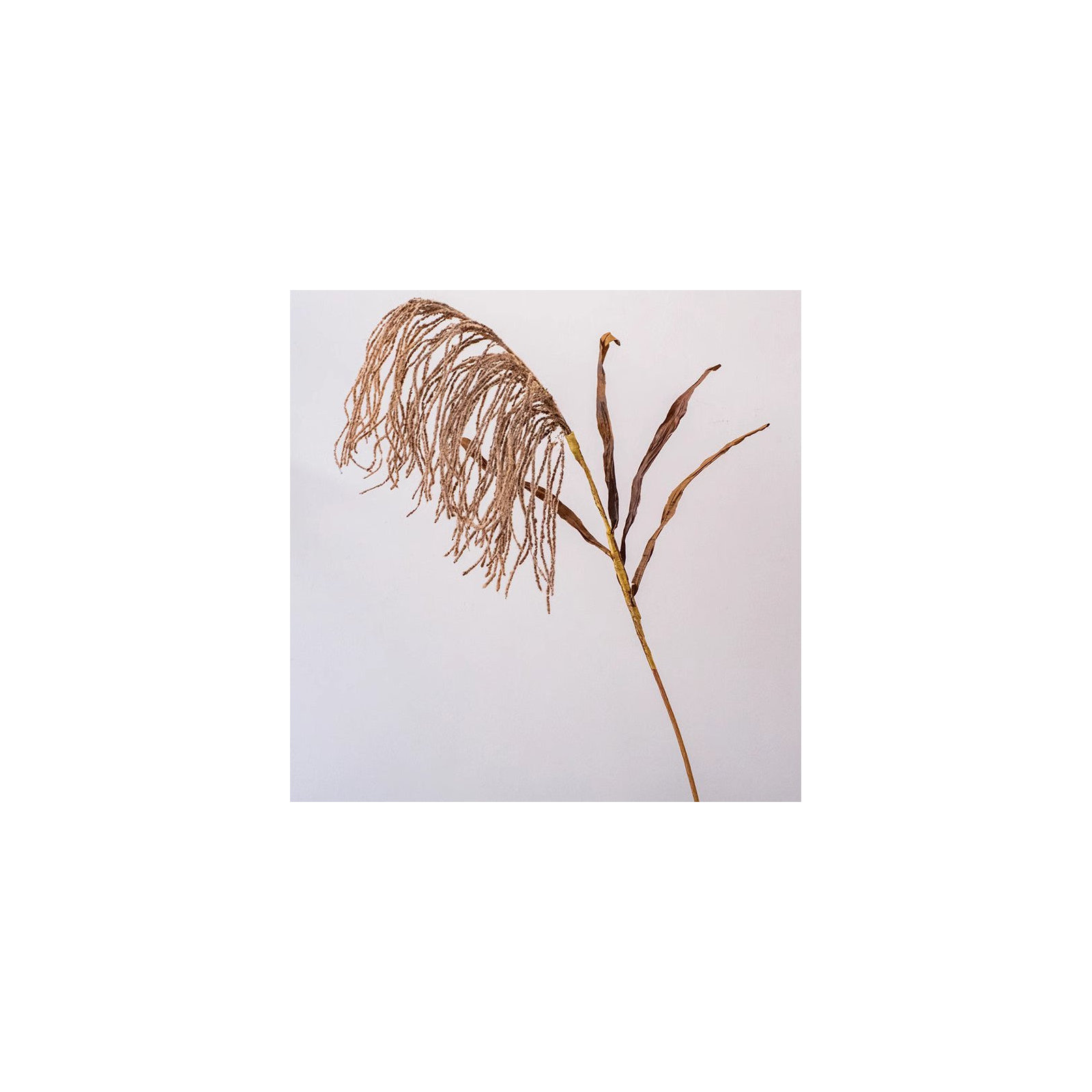 Tall Reed Branch Stem 29" Tall