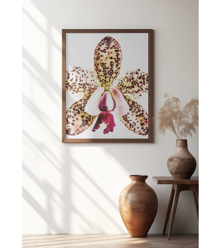 «Coral Orchid», art mural texturé encadré, Naturel, H 40 po x l 30 po