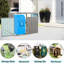 Remise en métal pour poubelle pour jardin - Gris pour 2 poubelles en acier galvanisé, rouille, facile à nettoyer et à entretenir