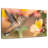 Brampt Charming Hummingbird-107687120