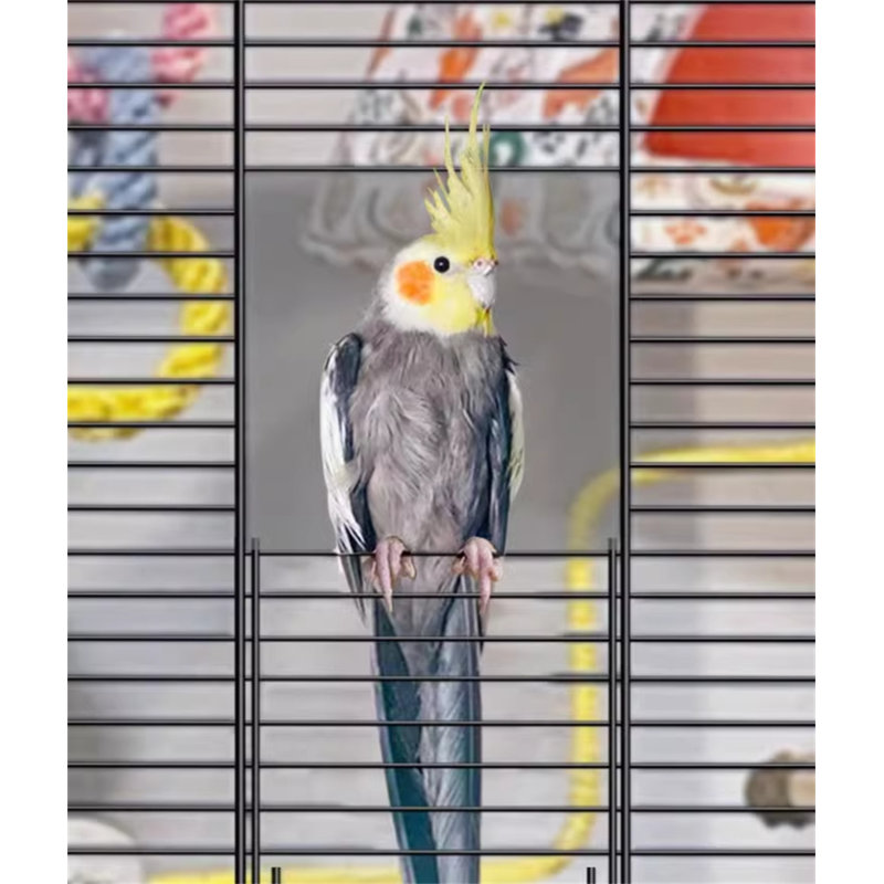 Front View Villa Bird Cage