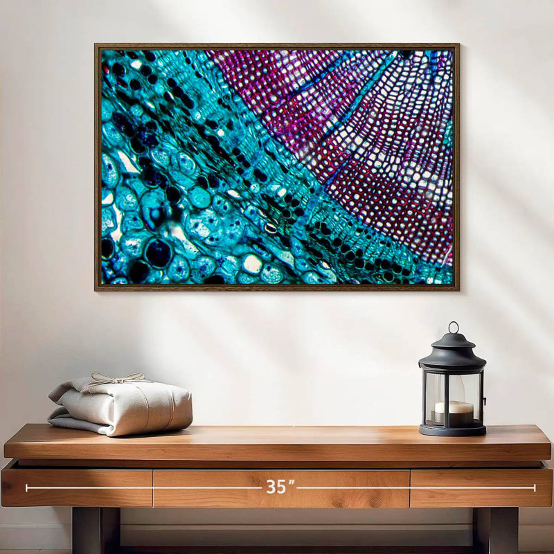 Pine Stem Under Microscope, 25" X 17", Floating Frame Walnut