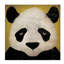 « panda on yellow », art sur toile-31880256