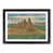 Black Framed selected