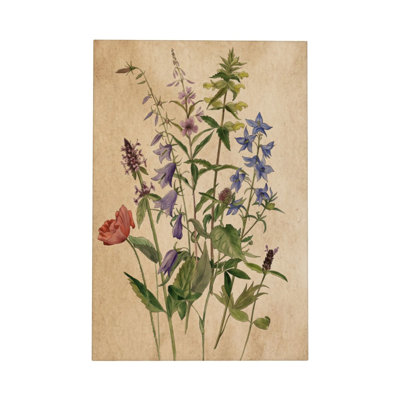 Vintage Botanical Study Framed Canvas Wall Decor