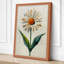 Pale Daisy Study Botanical - Wrapped Canvas-138198693-138198701