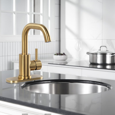Stainless Steel Single Handle Bar Faucet With 6.3" Deck Cover Plate And Supply Lines