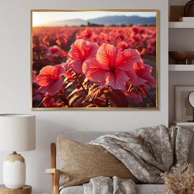 Hibiscus Field Vue aérienne, impression sur toile
