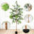 6 Ft. Artificial Ficus Tree With Black Plastic Pot